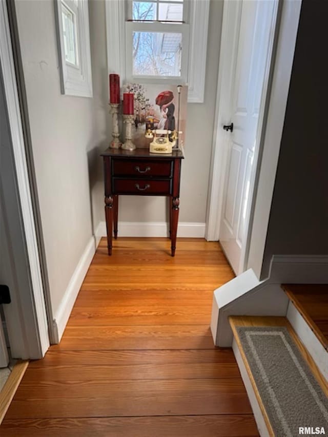 3119 15th St Unit C, Moline, IL 61265 - hall featuring light wood-type flooring and baseboards