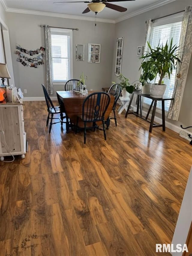 3119 15th St Unit C, Moline, IL 61265 - dining room featuring ceiling fan, dark wood-type flooring, plenty of natural light, and ornamental molding