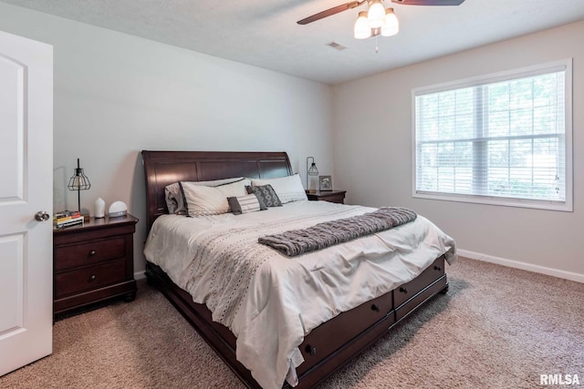 4182 Baptist Camp Rd, Carterville, IL 62918 - bedroom with carpet floors and a ceiling fan