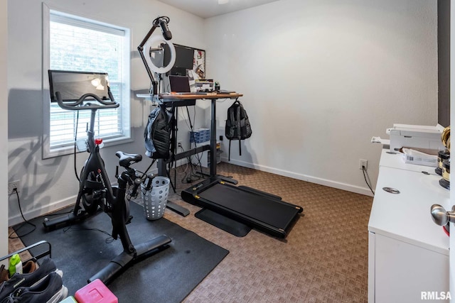 4182 Baptist Camp Rd, Carterville, IL 62918 - workout room featuring healthy amount of natural light and carpet flooring