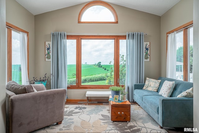 27062 238th St, Le Claire, IA 52753 - living area with lofted ceiling and healthy amount of natural light