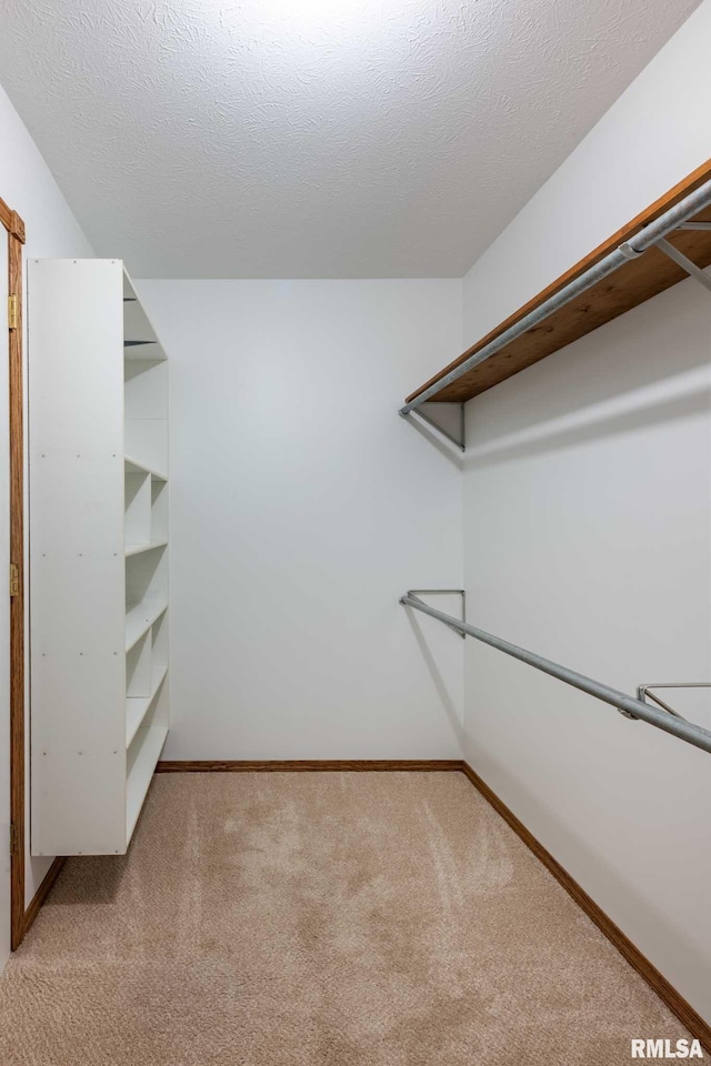 10415 Chayla Rd, Marion, IL 62959 - walk in closet with light carpet
