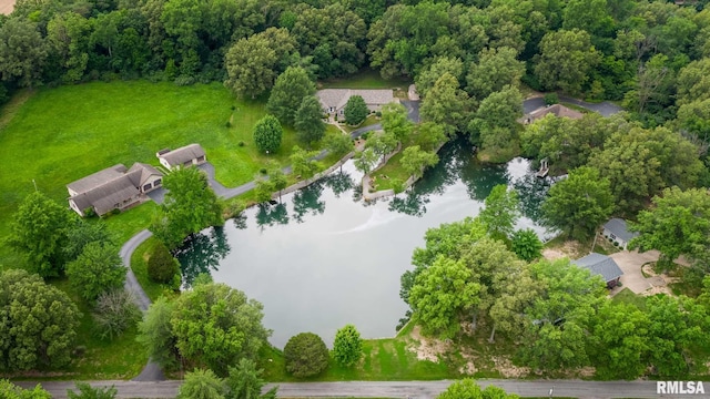 10415 Chayla Rd, Marion, IL 62959 - aerial view of property and surrounding area featuring a large body of water and a forest