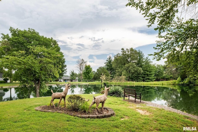 10415 Chayla Rd, Marion, IL 62959 - view of green lawn featuring a water view