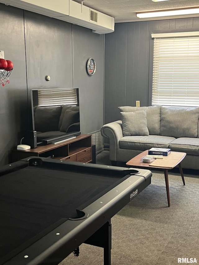 224 S Henderson St, Toulon, IL 61483 - view of carpeted living room