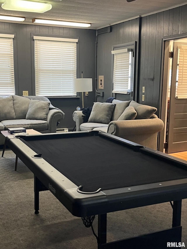 224 S Henderson St, Toulon, IL 61483 - game room featuring carpet, billiards table, and wood walls