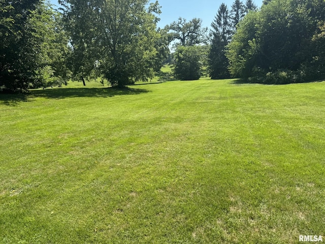 224 S Henderson St, Toulon, IL 61483 - view of green lawn