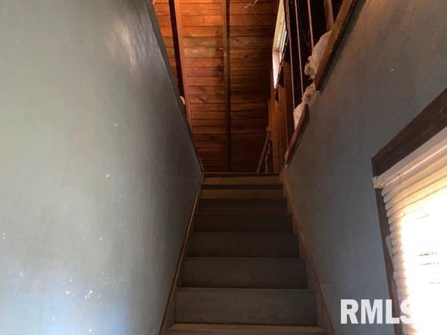 255 44th St, Moline, IL 61265 - photo 11