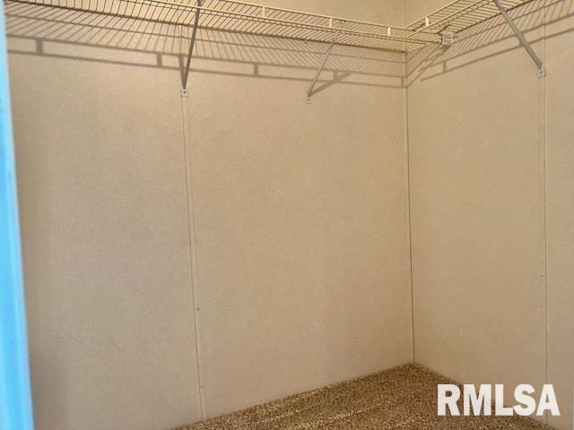 911 4th St, New Boston, IL 61272 - walk in closet featuring carpet