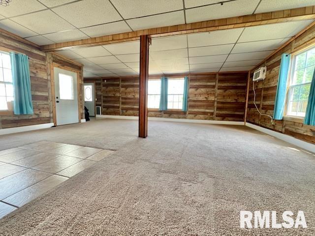 911 4th St, New Boston, IL 61272 - below grade area featuring wooden walls, carpet, and a paneled ceiling