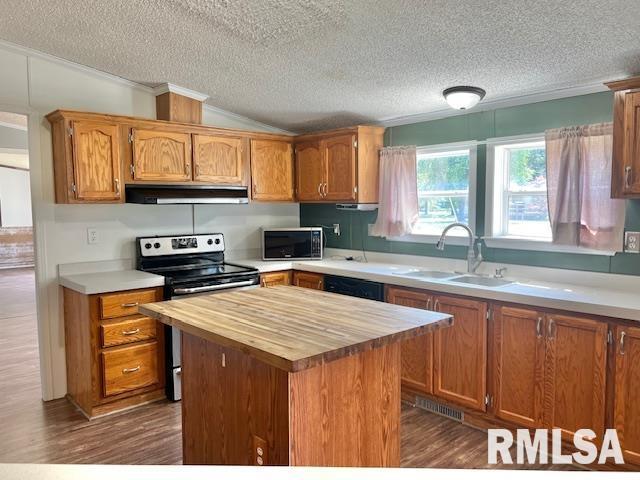 911 4th St, New Boston, IL 61272 - kitchen featuring appliances with stainless steel finishes, under cabinet range hood, wooden counters, a textured ceiling, and dark wood-style floors