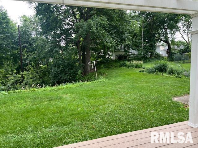 4532 23rd Ave, Rock Island, IL 61201 - photo 11