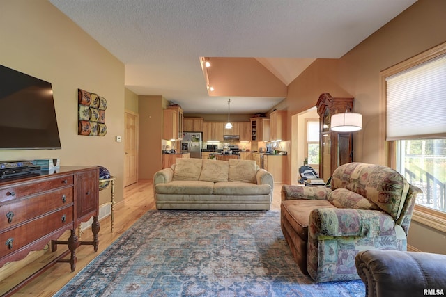 4581 180th St, Clinton, IA 52732 - living room with light wood-type flooring, vaulted ceiling, and a textured ceiling