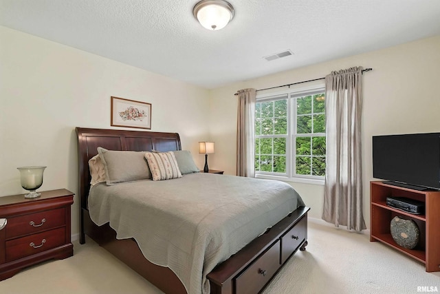 905 Bridgeview Place, Le Claire, IA 52753 - bedroom featuring light carpet and a textured ceiling