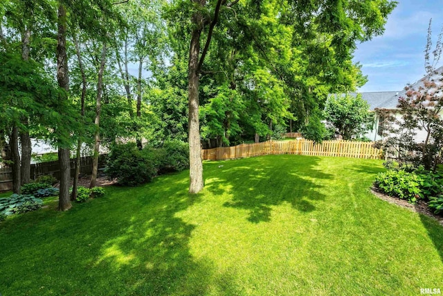 905 Bridgeview Place, Le Claire, IA 52753 - view of yard