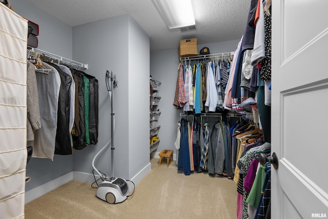 5727 Charlie Chase Ln, Bettendorf, IA 52722 - walk in closet with carpet