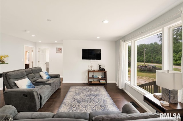 183 Island Ave, East Moline, IL 61244 - living room featuring dark wood-type flooring and recessed lighting