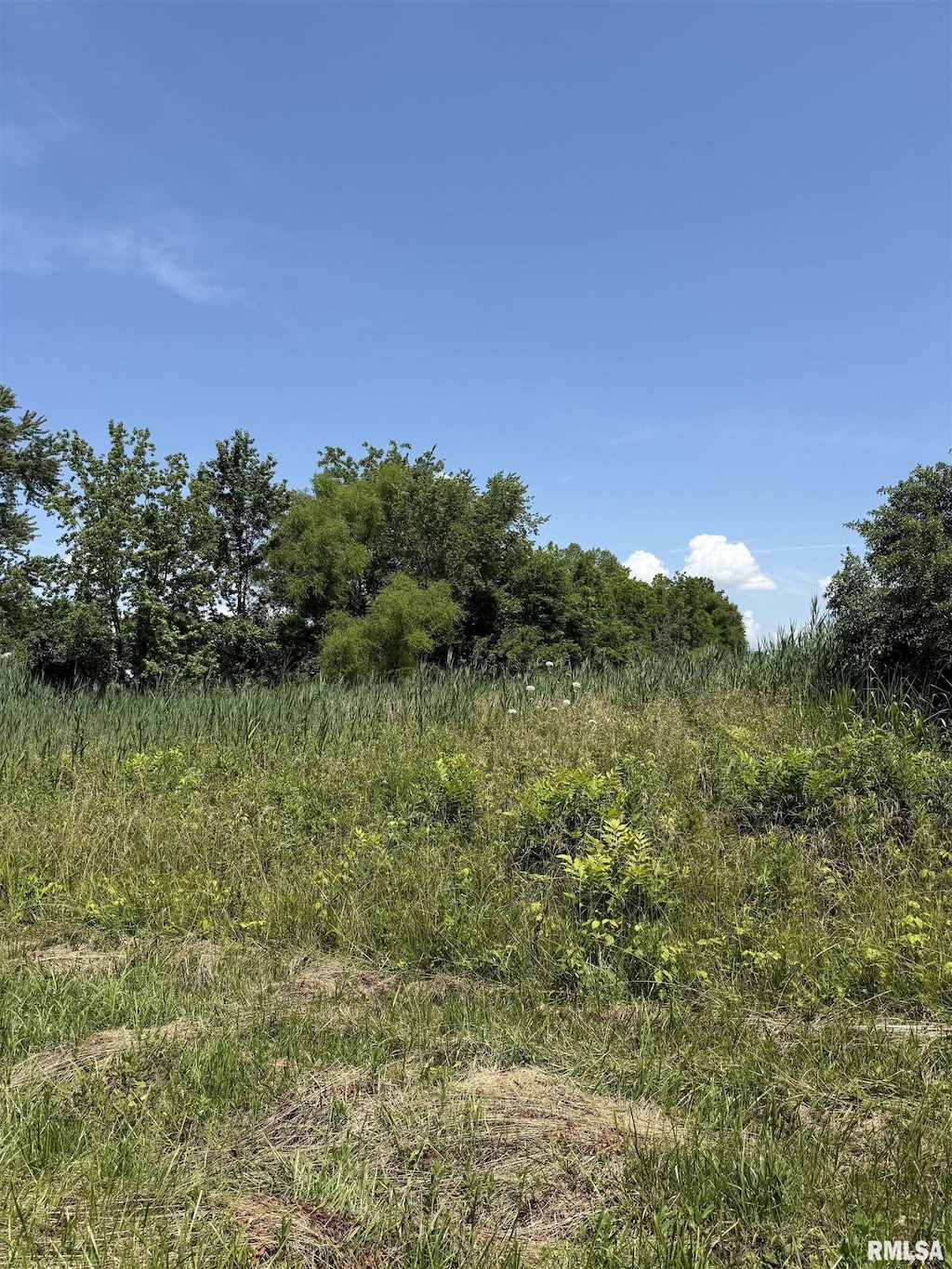 0000 Fleming Rd, Carterville, IL 62918