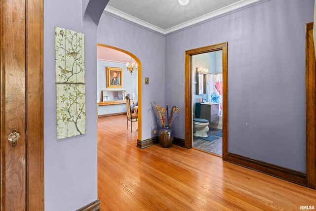 1632 18th Ave Unit 6, Rock Island, IL 61201 - corridor with arched walkways, light wood-style flooring, crown molding, and a chandelier