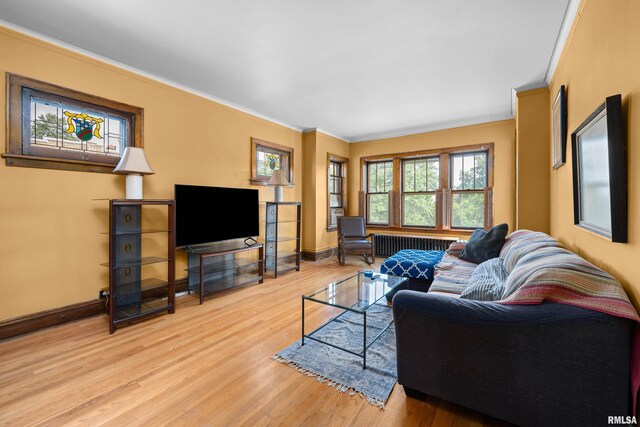 1632 18th Ave Unit 6, Rock Island, IL 61201 - living area featuring radiator, wood finished floors, and crown molding