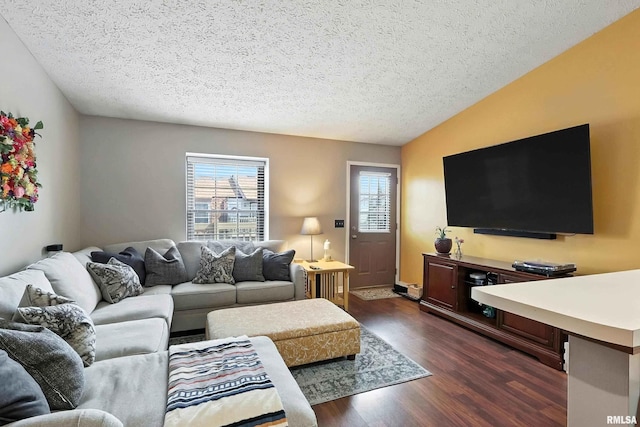 4011 Lillie Ave Unit 106, Davenport, IA 52806 - living room with a textured ceiling, healthy amount of natural light, dark wood finished floors, and lofted ceiling