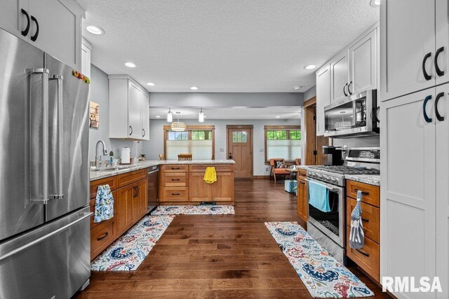 11815 Rte 84 N, Port Byron, IL 61275 - kitchen with stainless steel appliances, a peninsula, a textured ceiling, dark wood-style flooring, and recessed lighting