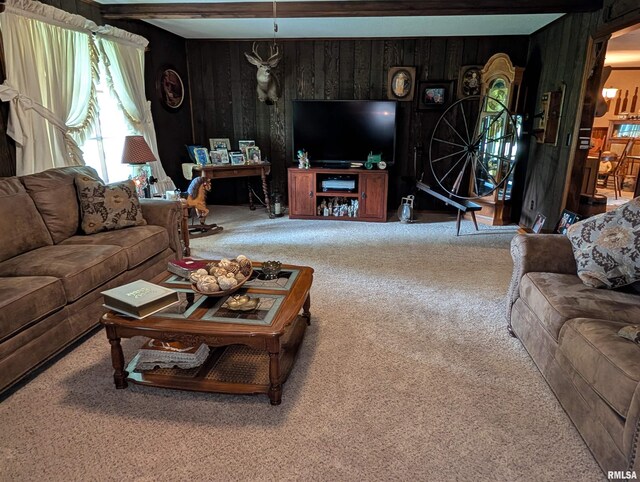 1425 Coffee Rd, Raleigh, IL 62977 - photo 14