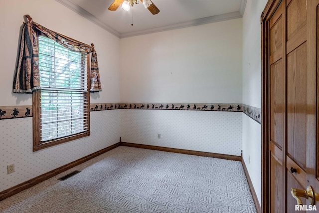 219 Ozark Rd, Simpson, IL 62985 - photo 32