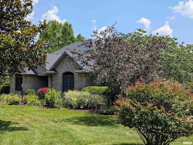 219 Ozark Rd, Simpson, IL 62985 - photo 54