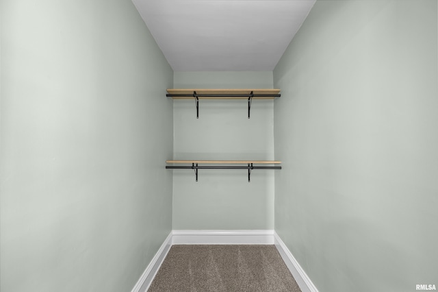 2664 Fair Ave, Davenport, IA 52803 - walk in closet with carpet floors