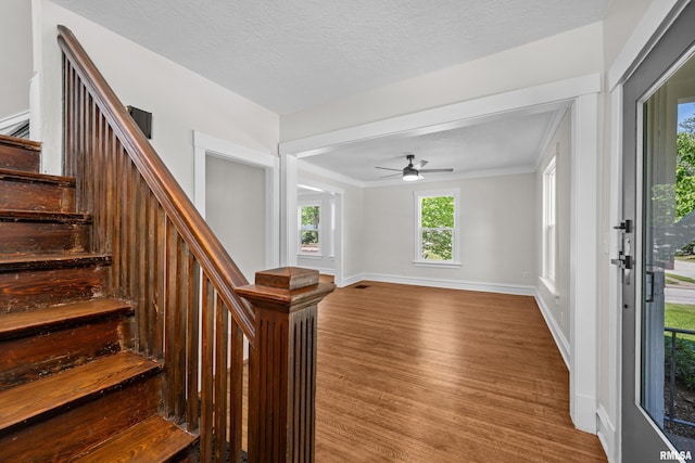 2664 Fair Ave, Davenport, IA 52803 - foyer with wood finished floors, stairs, ceiling fan, crown molding, and a textured ceiling