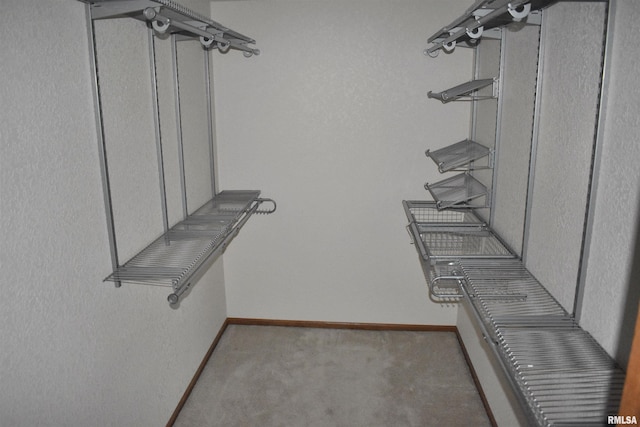 6899 Riverview Rd, Thomson, IL 61285 - spacious closet with carpet