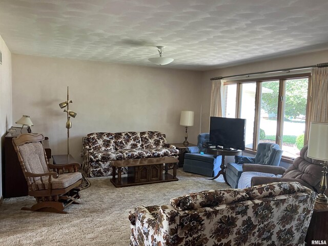 200 S Main St, Annawan, IL 61234 - view of carpeted living room