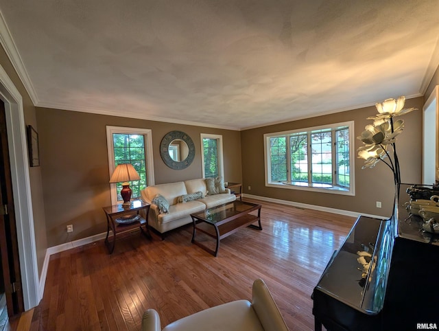 1315 W Wexford Pl, Peoria, IL 61615 - living room with wood finished floors and ornamental molding