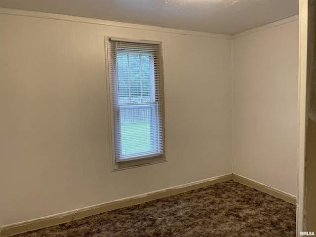 822 W Kennicott St, Carbondale, IL 62901 - photo 25