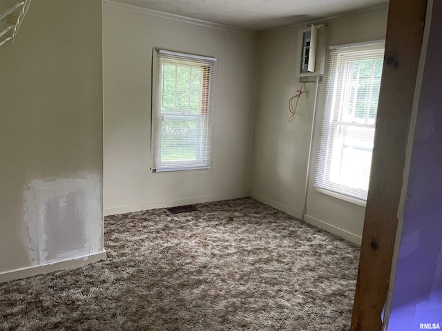822 W Kennicott St, Carbondale, IL 62901 - photo 28