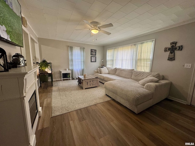 905 W Boulevard St, Marion, IL 62959 - living area with wood finished floors, a ceiling fan, and a fireplace