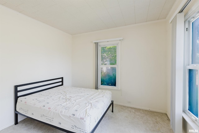 1506 E Oak St, West Frankfort, IL 62896 - bedroom with carpet and ornamental molding