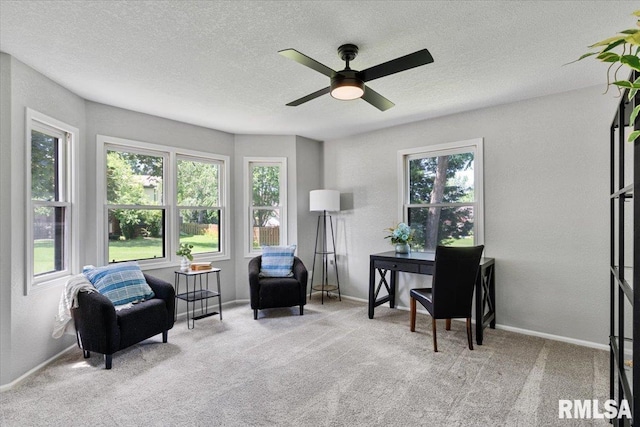 4050 4th St Unit B, East Moline, IL 61244 - office space with carpet flooring, a ceiling fan, and a textured ceiling