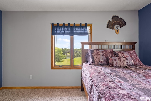 910 Fyre Lake Dr, Sherrard, IL 61281 - bedroom with carpet flooring and baseboards