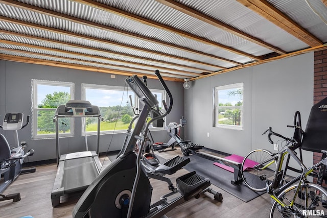 910 Fyre Lake Dr, Sherrard, IL 61281 - exercise room with light wood-style floors