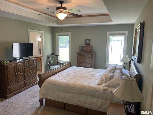 1175 Rustic View Ct, Eldridge, IA 52748 - carpeted bedroom with a tray ceiling, multiple windows, a ceiling fan, and ensuite bathroom