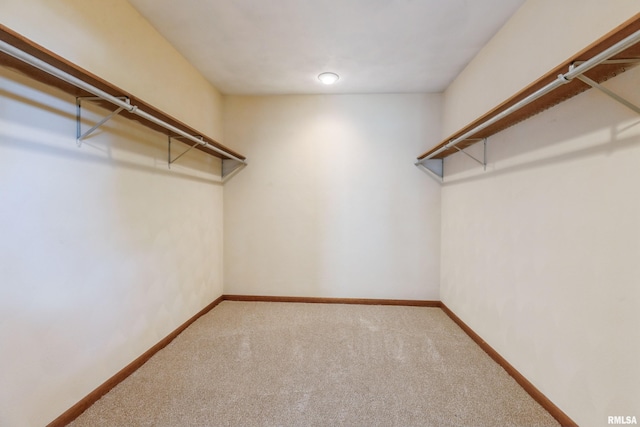 2200 36th Ave Unit 2D, Rock Island, IL 61201 - walk in closet with carpet