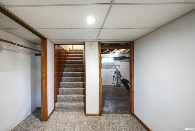 1221 4th St, Camanche, IA 52730 - staircase with carpet