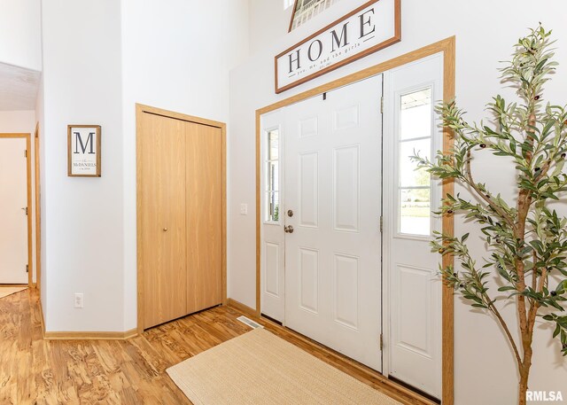 624 Mineral Creek Dr, Colona, IL 61241 - foyer featuring light wood-style floors and a towering ceiling