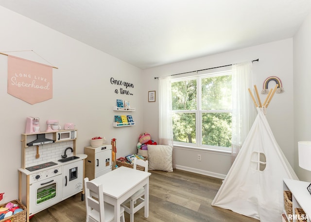 624 Mineral Creek Dr, Colona, IL 61241 - playroom featuring wood finished floors and baseboards