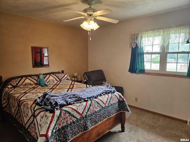 1154 Mark St, Colona, IL 61241 - photo 14