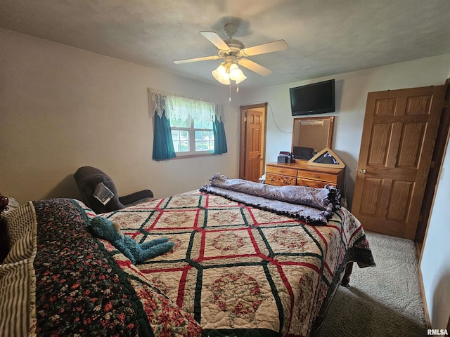 1154 Mark St, Colona, IL 61241 - photo 15