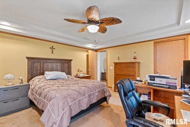 524 6th St, Andover, IL 61233 - bedroom with light carpet, a raised ceiling, a desk, and connected bathroom