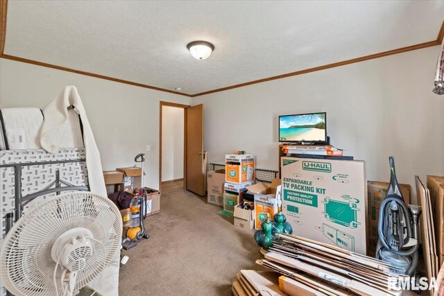 524 6th St, Andover, IL 61233 - bedroom with crown molding, carpet floors, and a textured ceiling